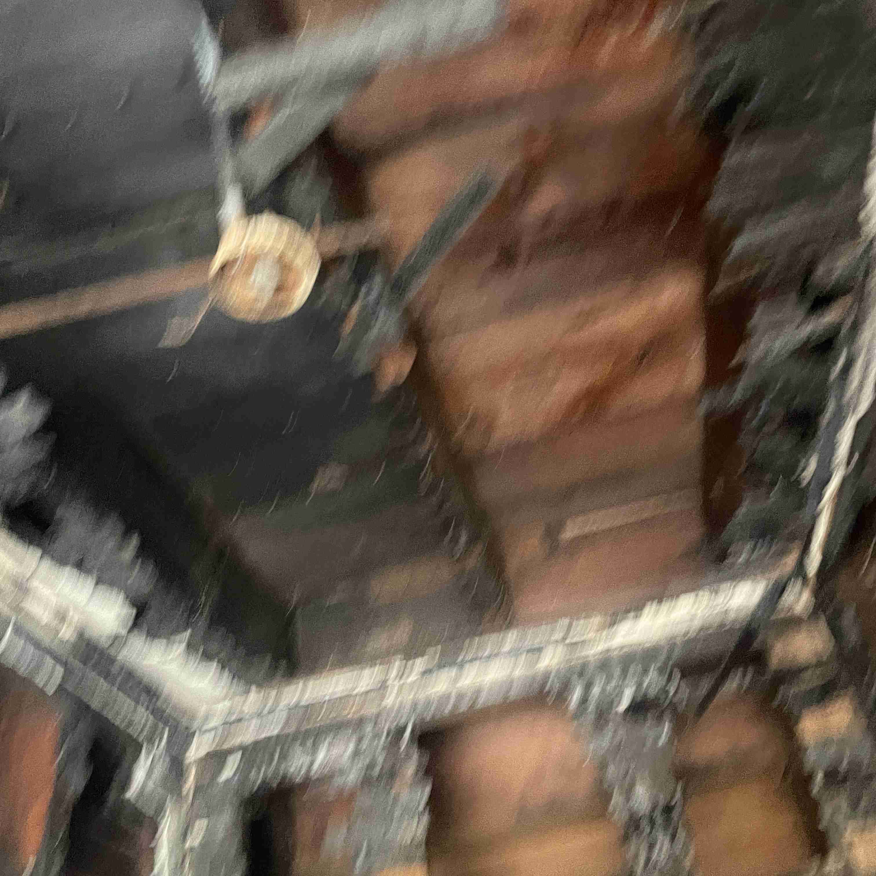 4039 Tuxedo (54).jpg